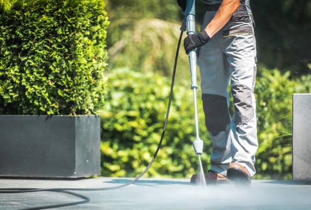 Best Roof Washing  in Willow, AK