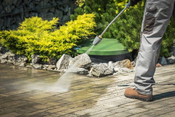 Best Pool Deck Cleaning  in Willow, AK
